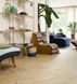 Лінолеум Beauflor комерційний Soho Laurel Oak 116L (4 м) 116L фото 2