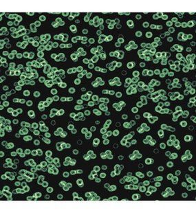 Флоковане килимове покриття Flotex Sottsass 990102 (4.3 мм) 990102 фото