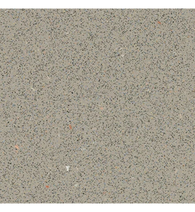 Лінолеум Forbo Антиковзке покриття Safestep R12 175872 (2 мм) 175872 фото
