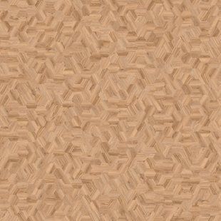 Вінілова підлога IVC Moduleo Moods Hexagon Mono 611 HEXAGON BLACKJACK OAK 22229 фото